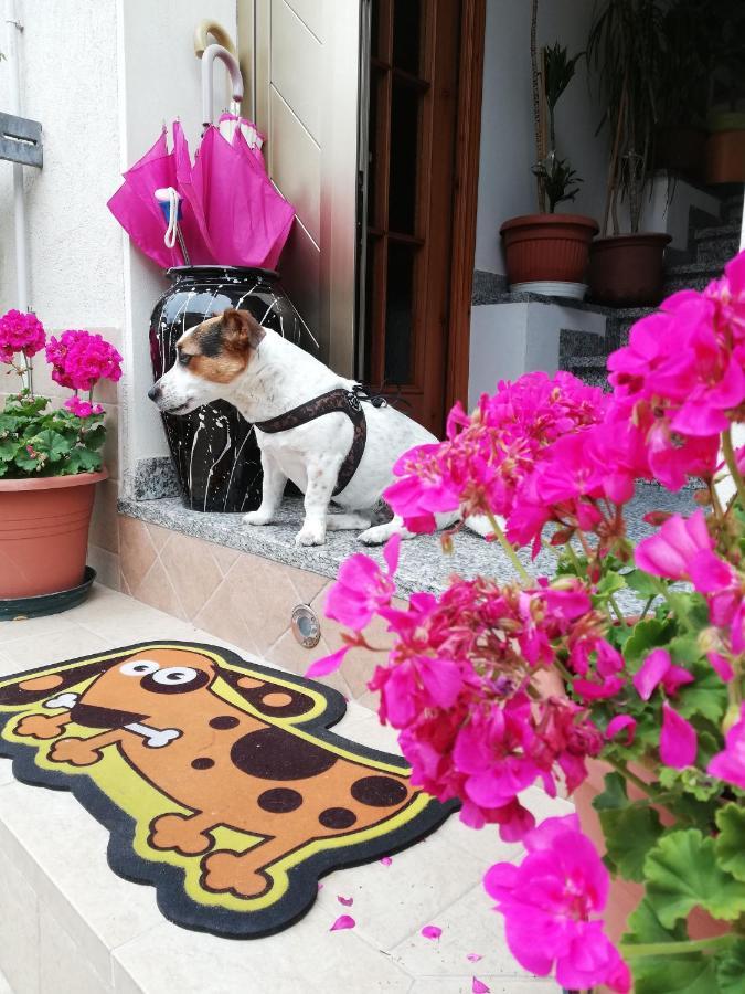 Апартаменти La Casa Di Pamy Белларія-Іджеа-Марина Екстер'єр фото